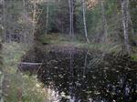 Kanal  från gölen till ångsåg